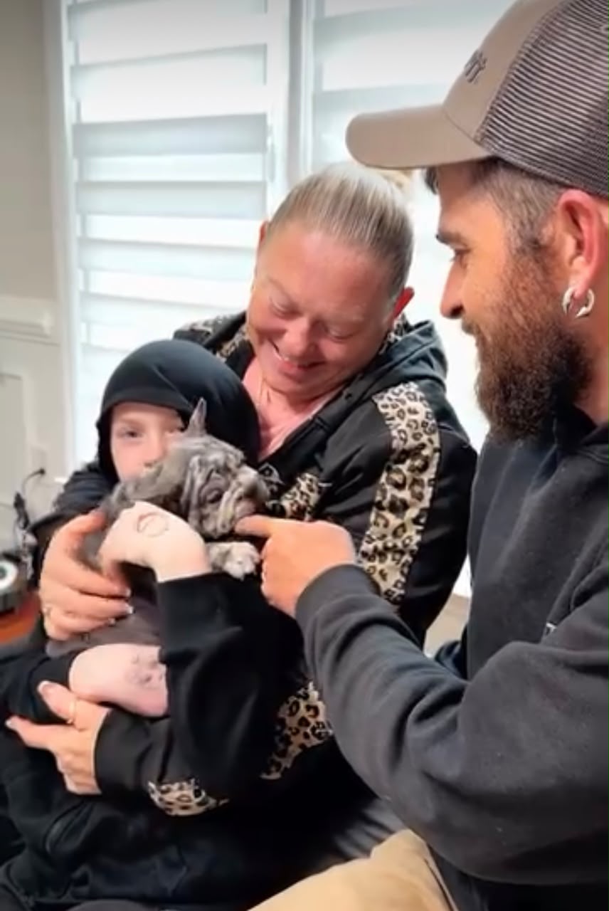 Tyler Nelson's French Bulldog