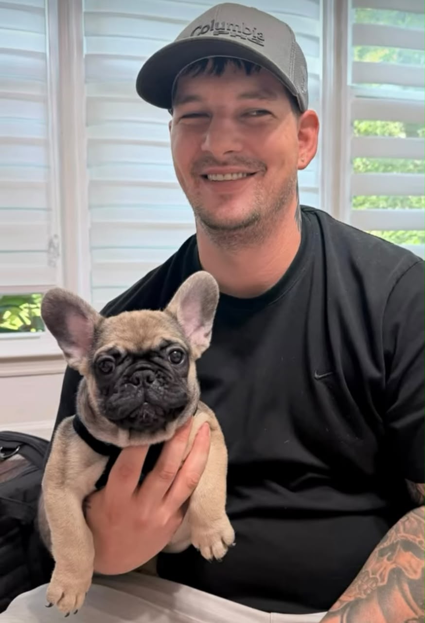 Lauren Baker's French Bulldog